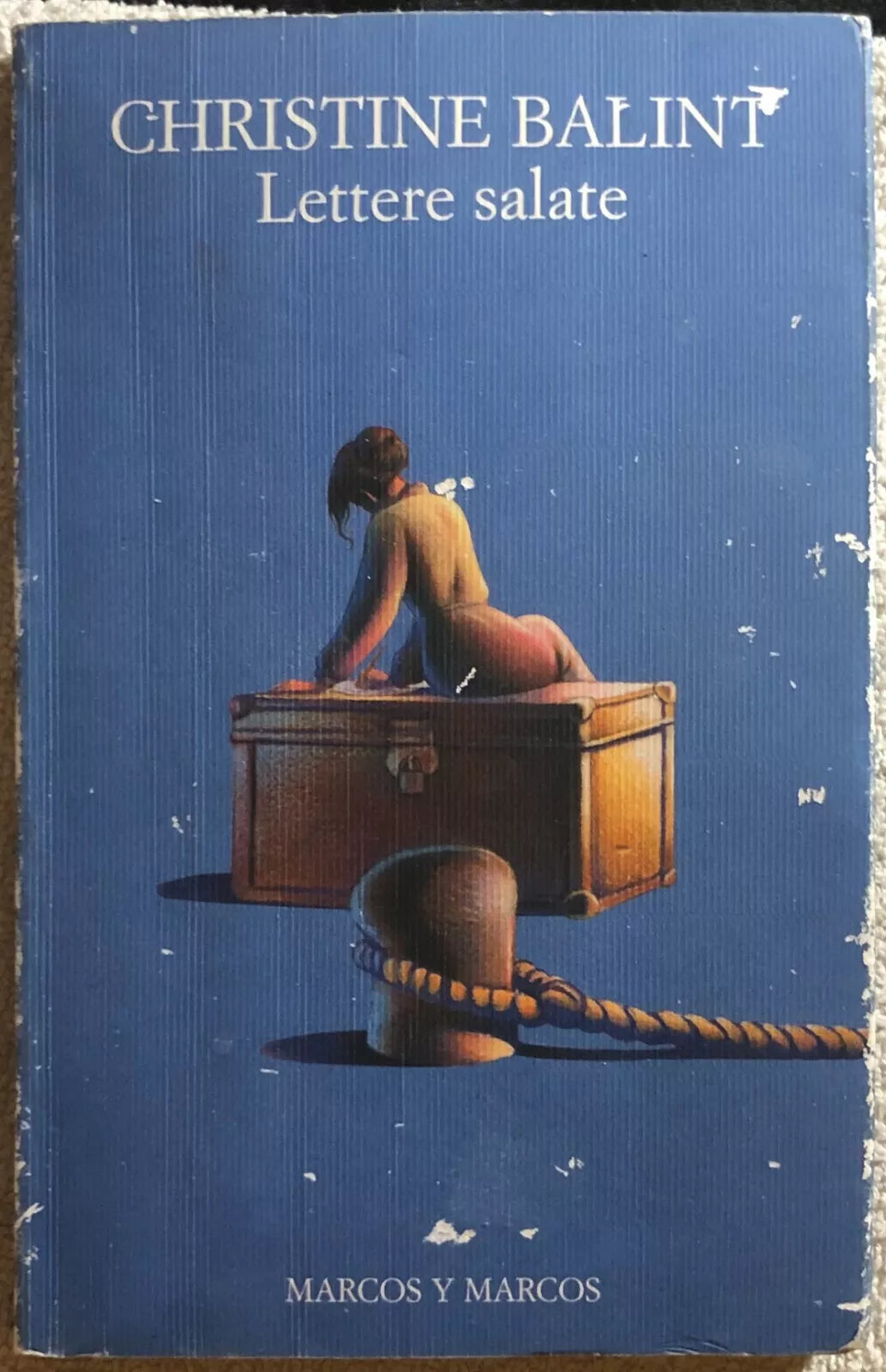 Lettere salate - di Christine Balint (Autore), C. Tarolo (Traduttore)