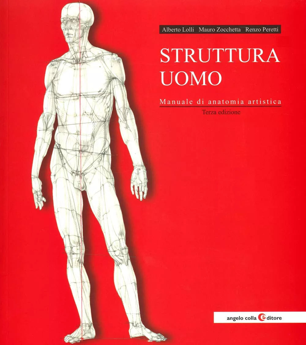 Struttura uomo Manuale di anatomia artistica