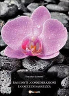 Racconti, considerazioni e gocce di saggezza di Vincenzo Lumenti, 2011, Youca