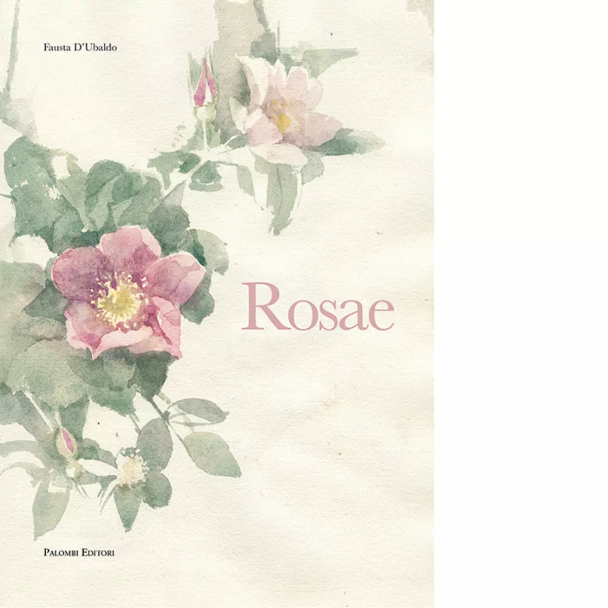 Rosae di Fausta D Ubaldo