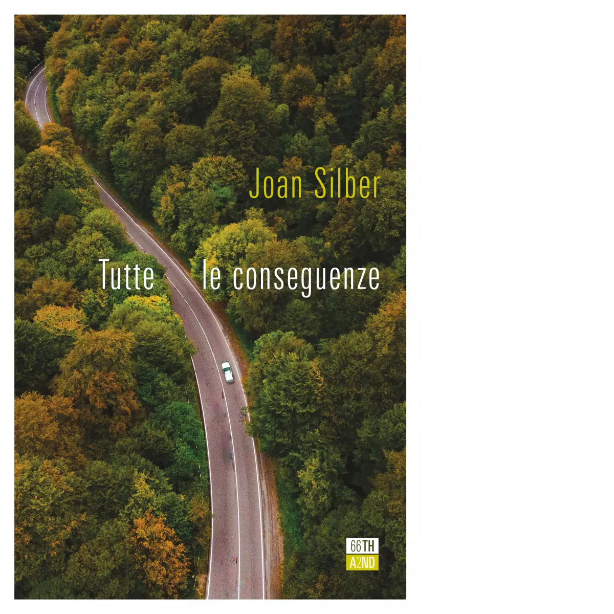 Tutte le conseguenze di Joan Silber