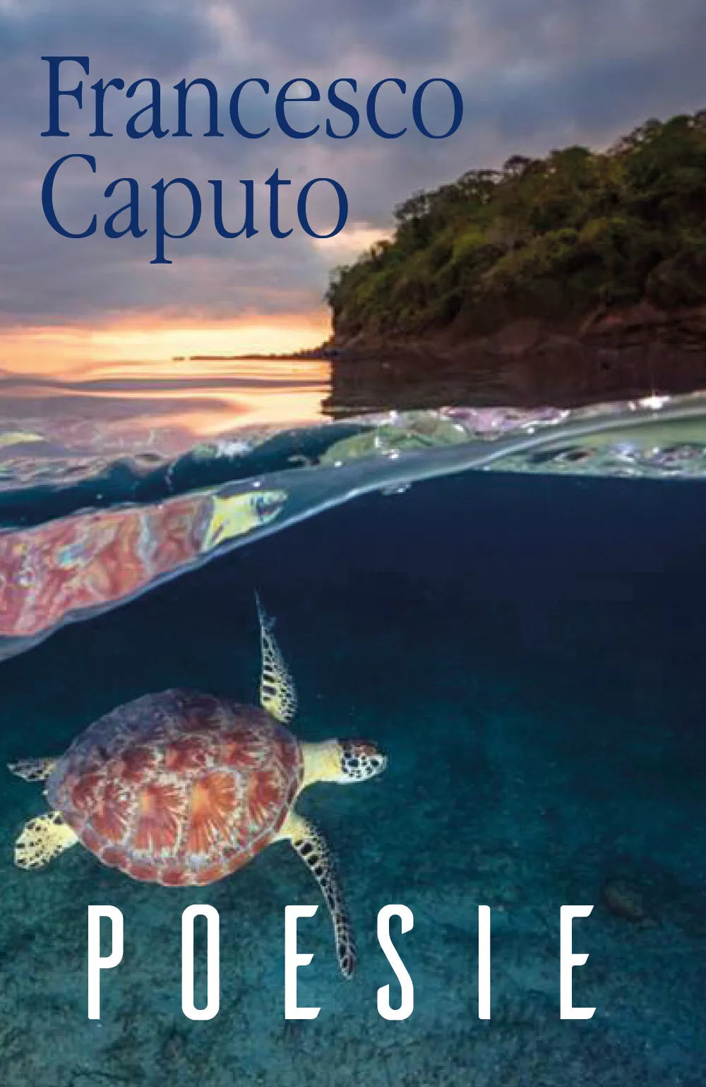 Poesie di Francesco Caputo, 2018, Youcanprint