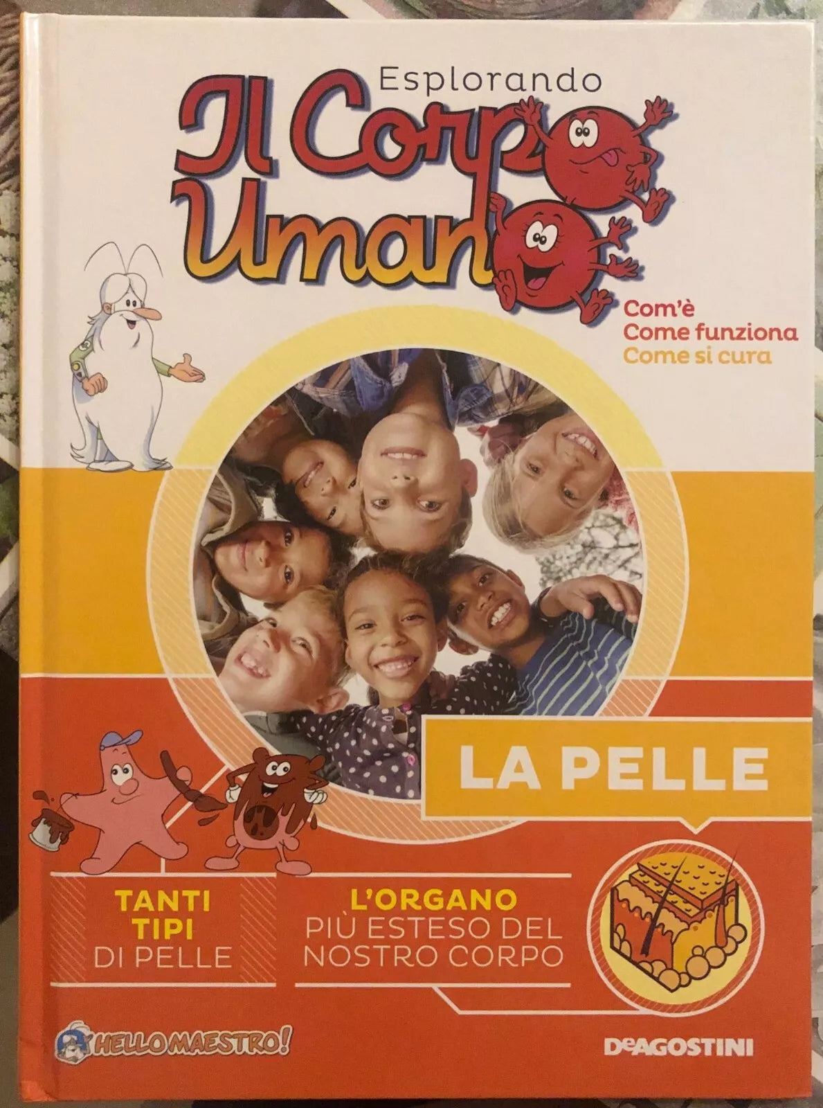 Esplorando il corpo umano n 5