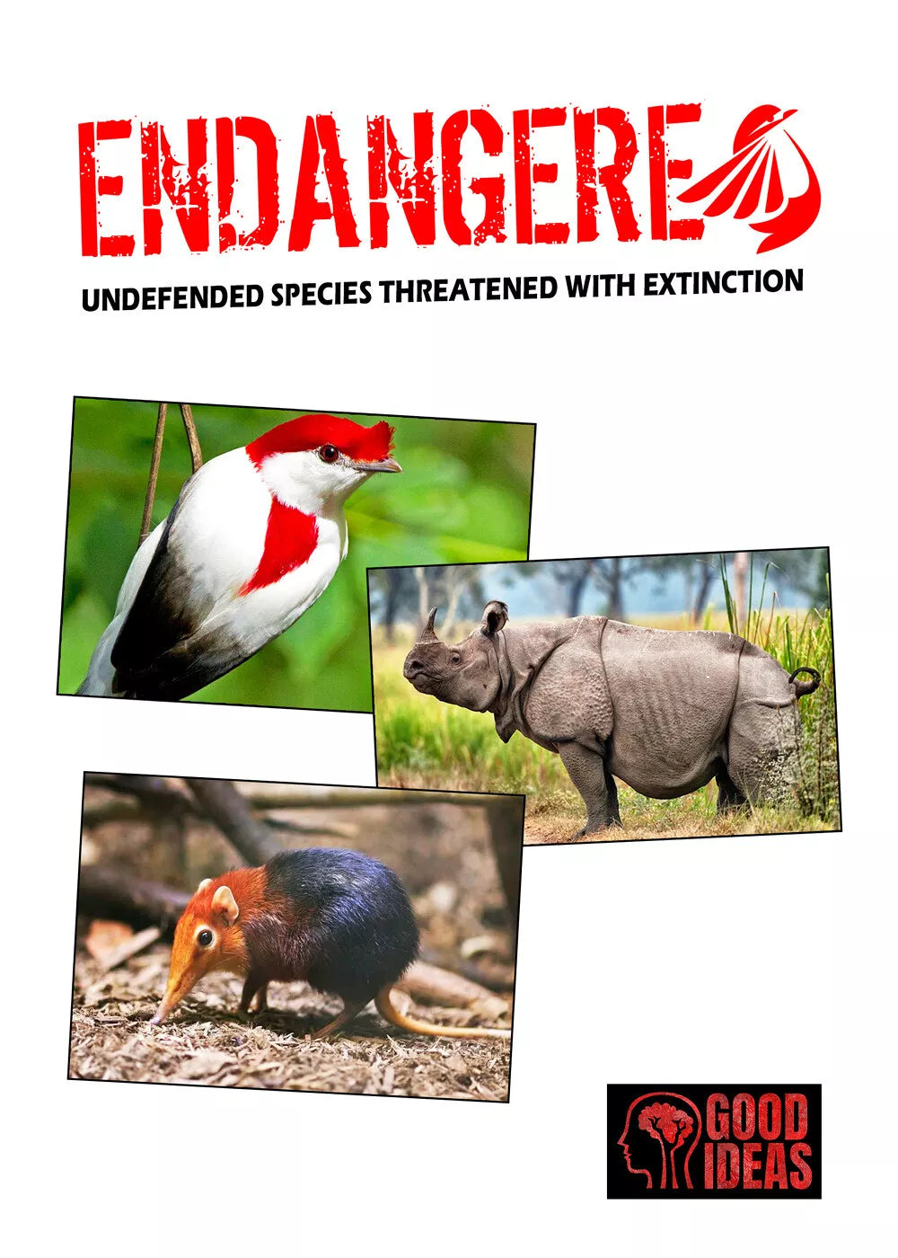 Endangered. Undefended species threatened with extinction. Ediz. italiana, ingle