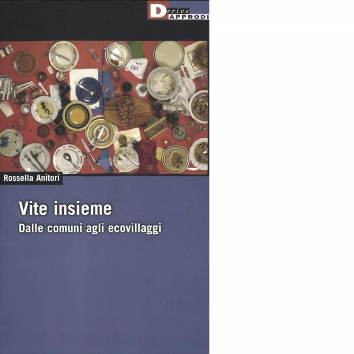 VITE INSIEME di ROSSELLA ANITORI