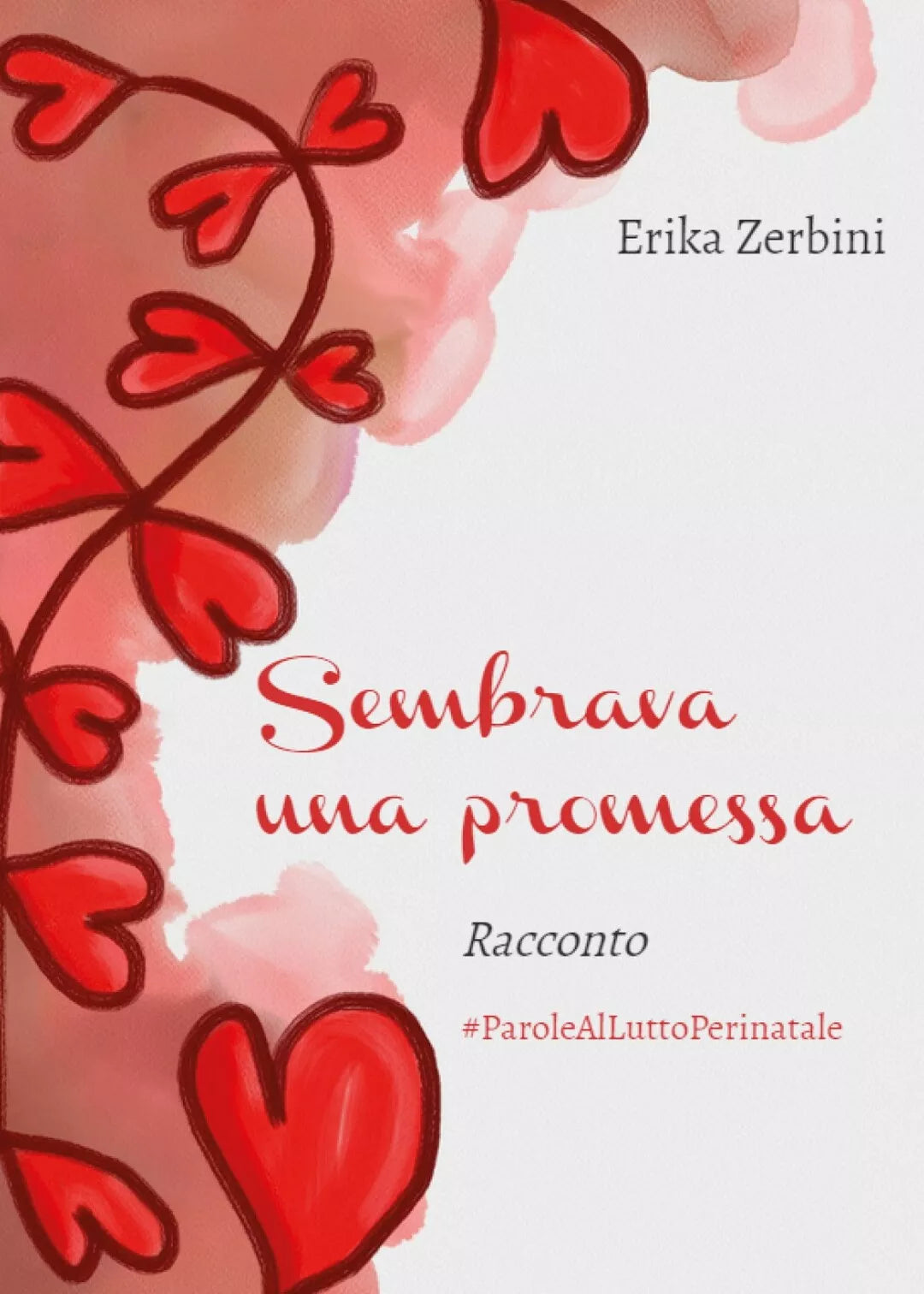 Sembrava una promessa di Erika Zerbini, 2018, Youcanprint