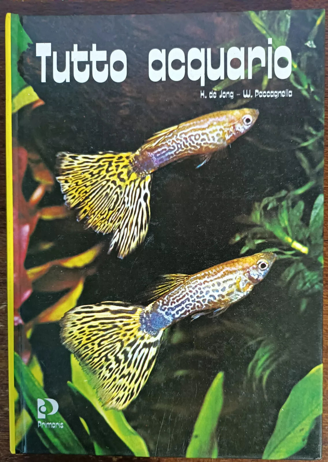 Tutto acquario