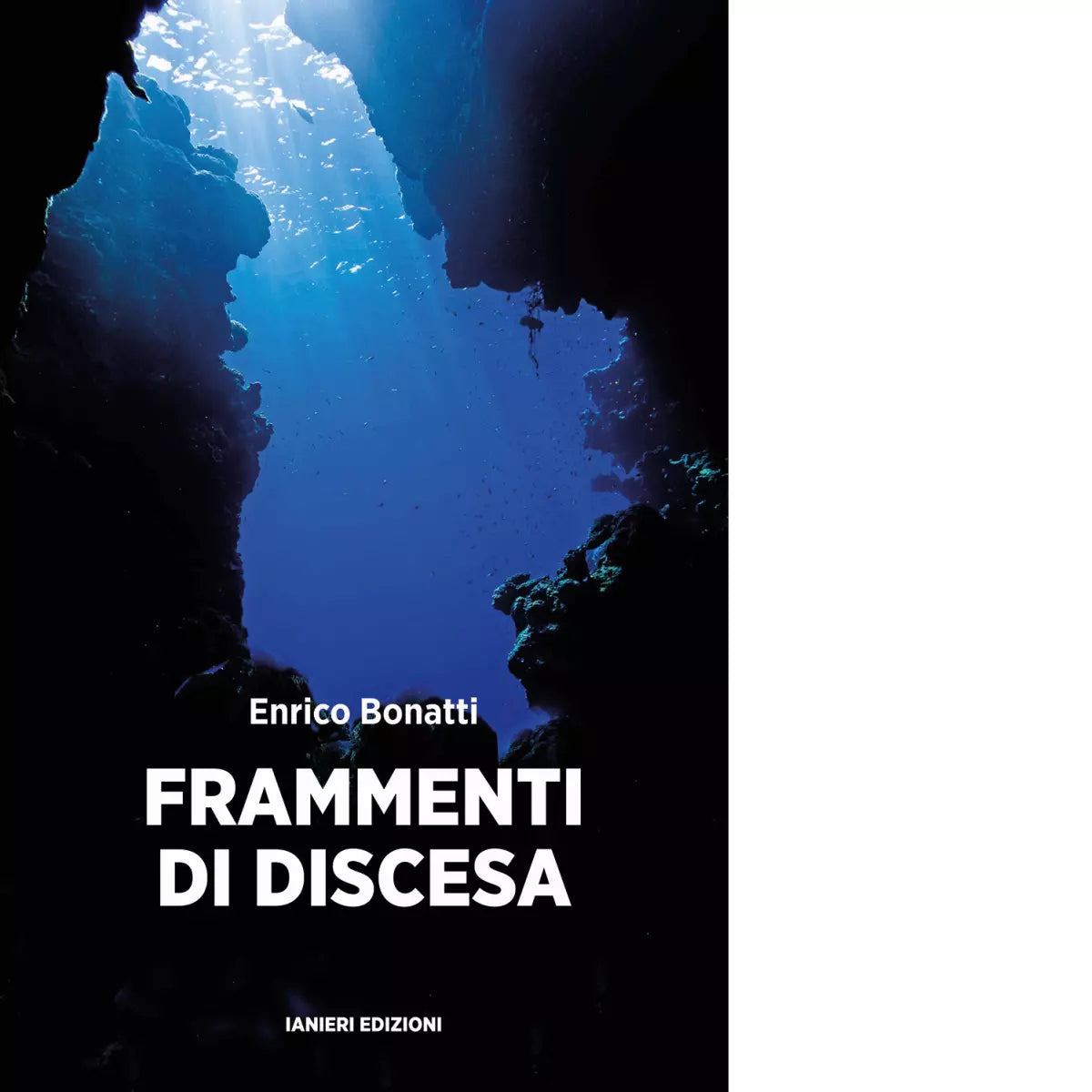 Frammenti di discesa di Enrico Bonatti