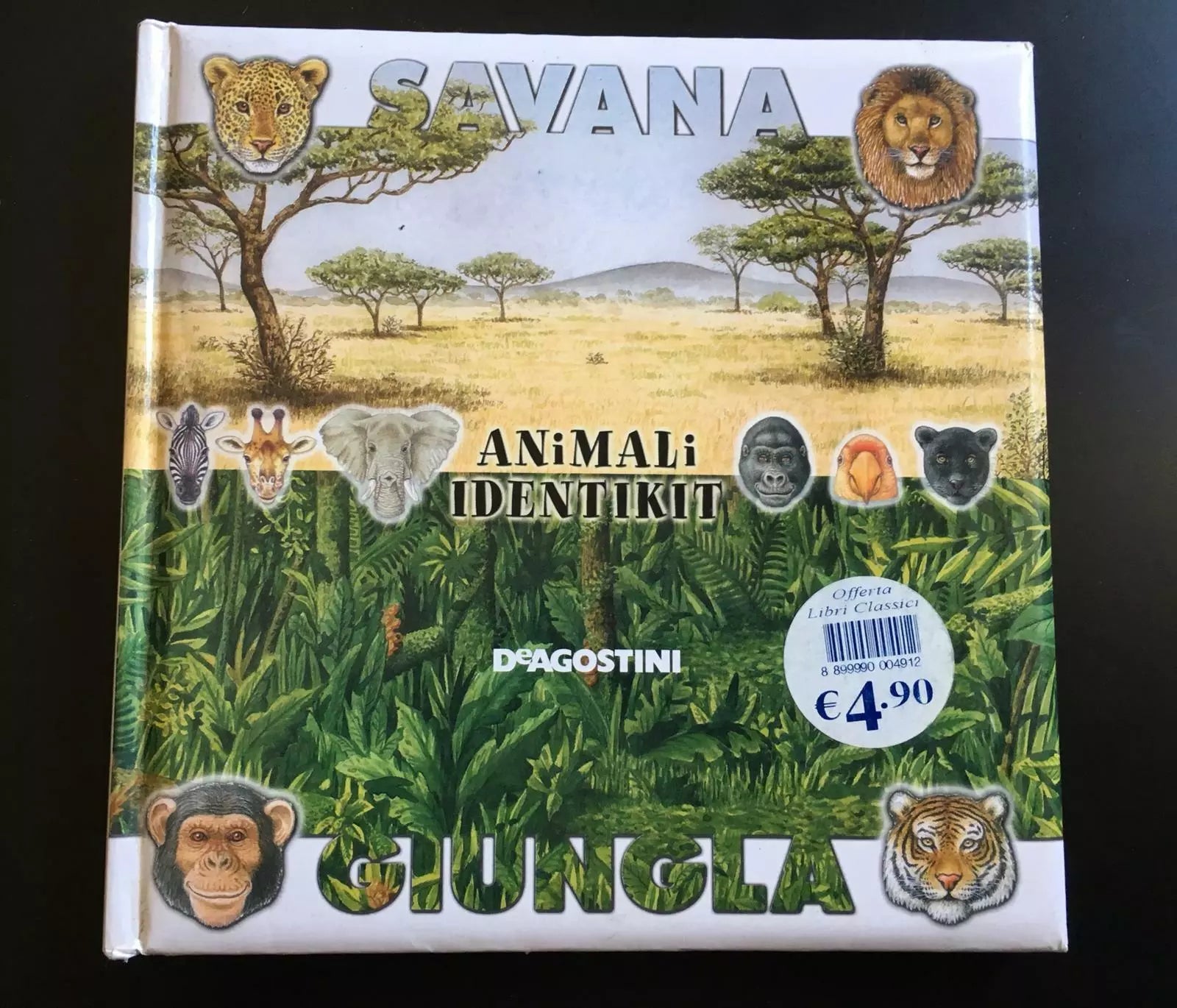 Savana