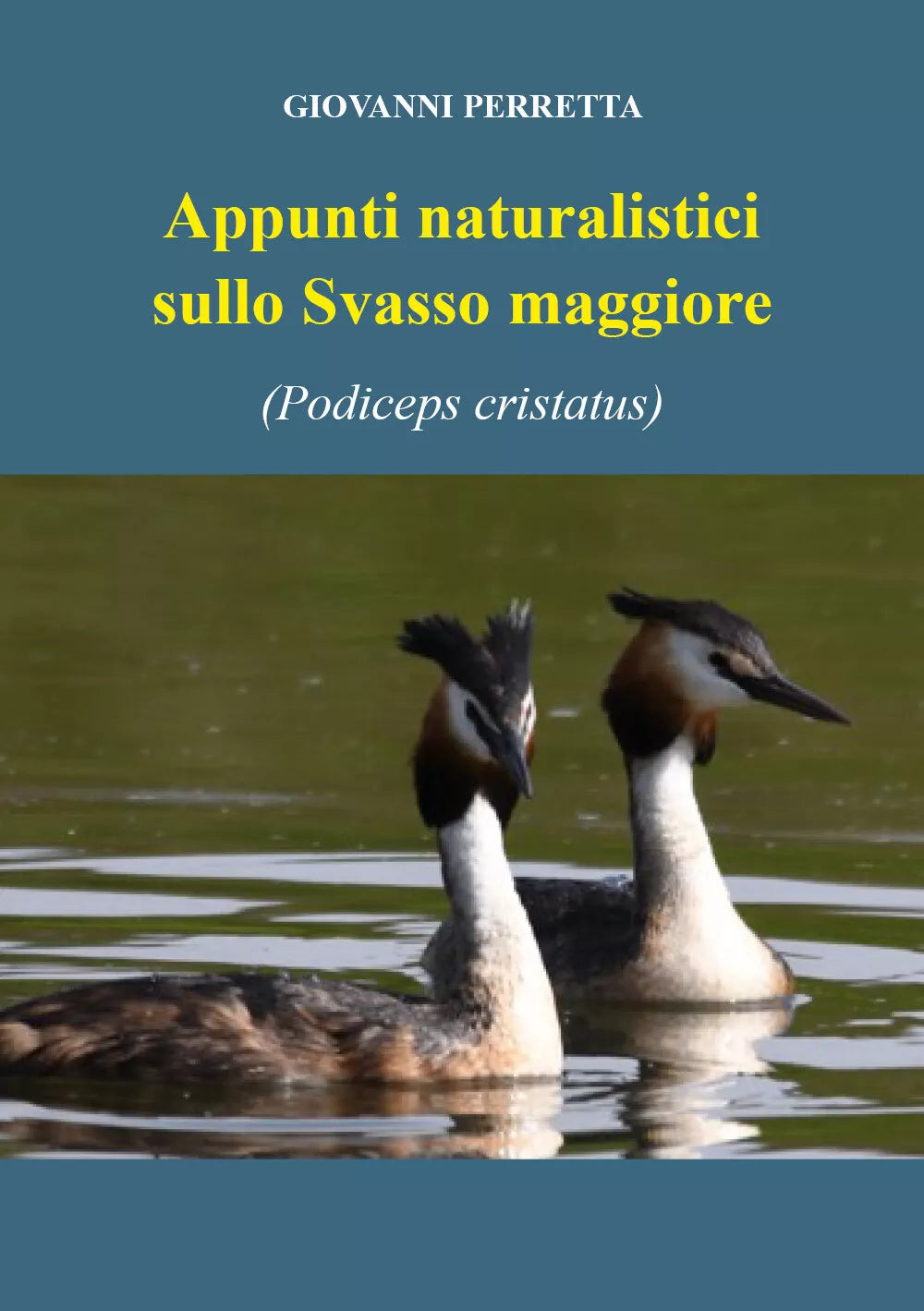 Appunti naturalistici sulla svasso maggiore Podiceps cristatus di Giovanni Per