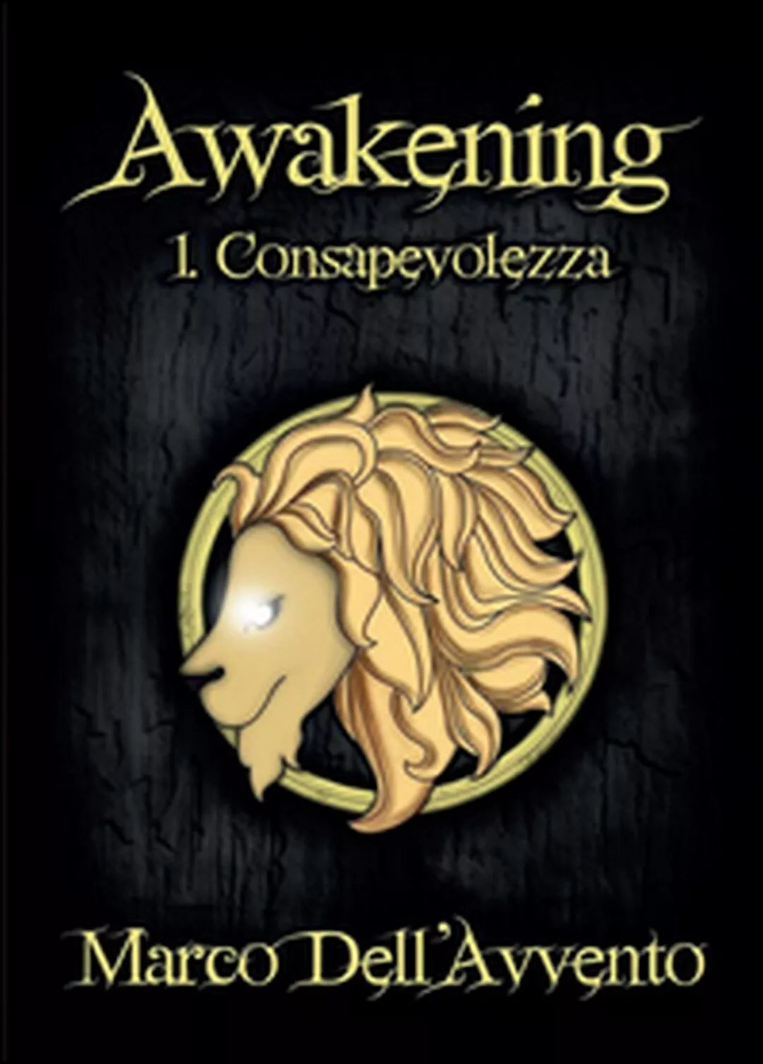 Consapevolezza. Awakening Vol.1 di Marco Dell’Avvento, 2014, Youcanprint