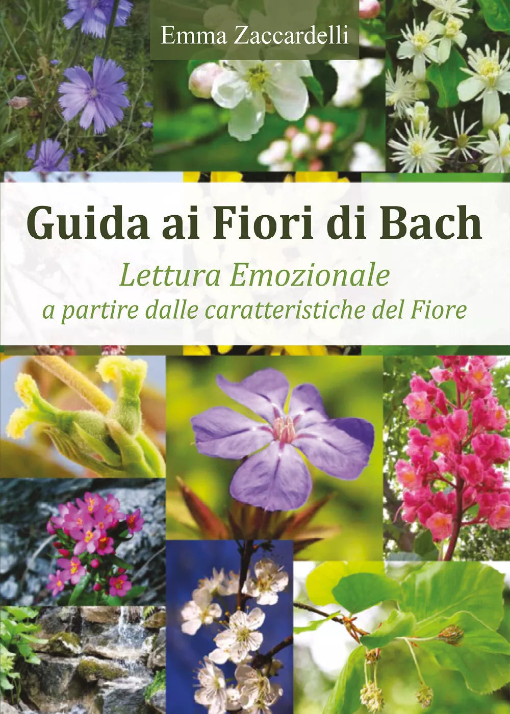 Guida ai fiori di Bach. Lettura emozionale a partire dalle caratteristiche del f