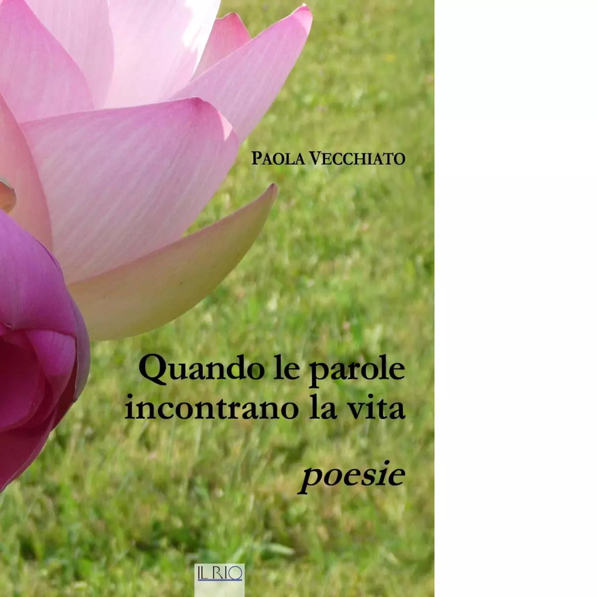 Quando le parole incontrano la vita di Paola Vecchiato