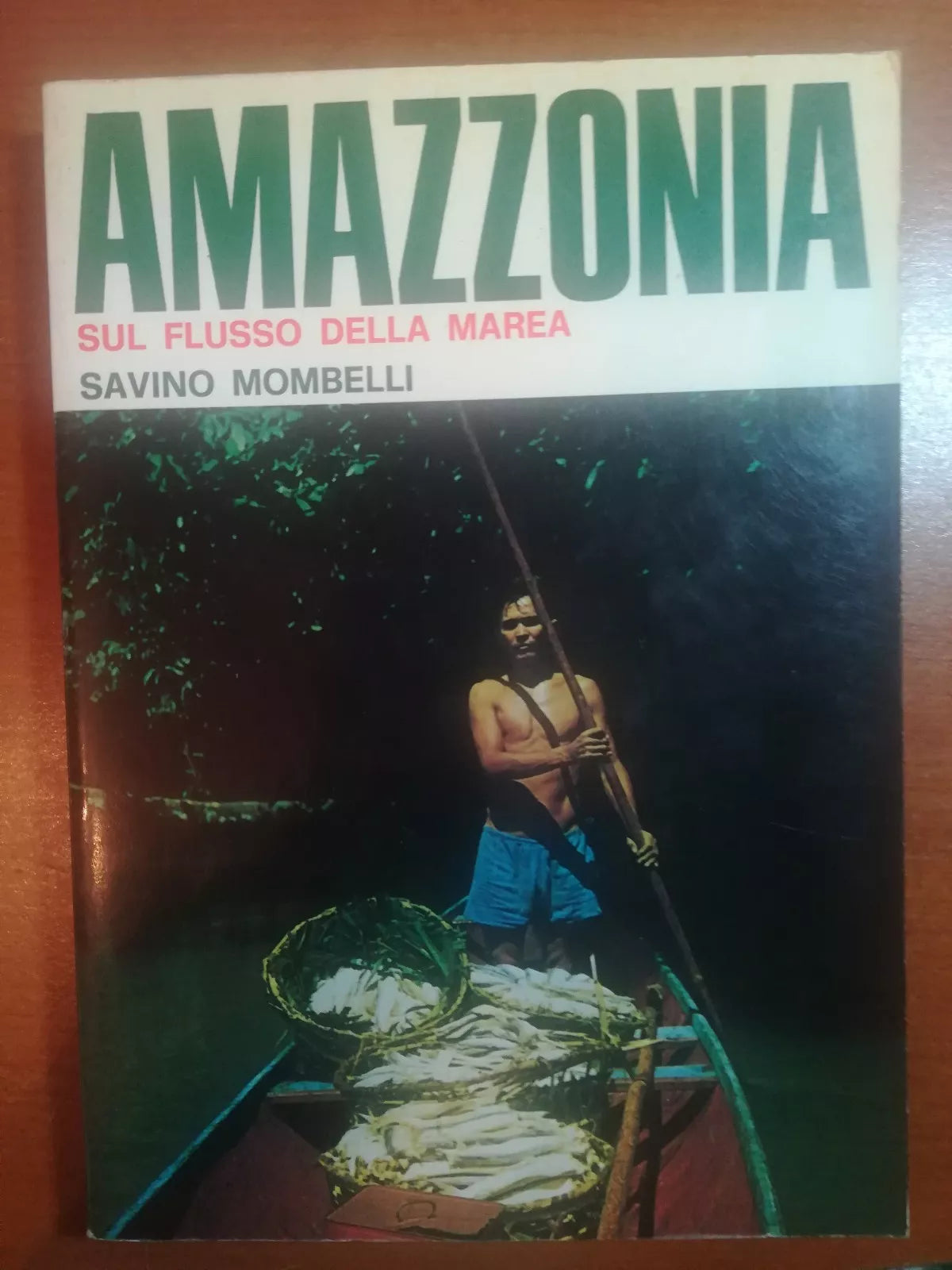Amazzonia - Savino Mombelli - CEM - M