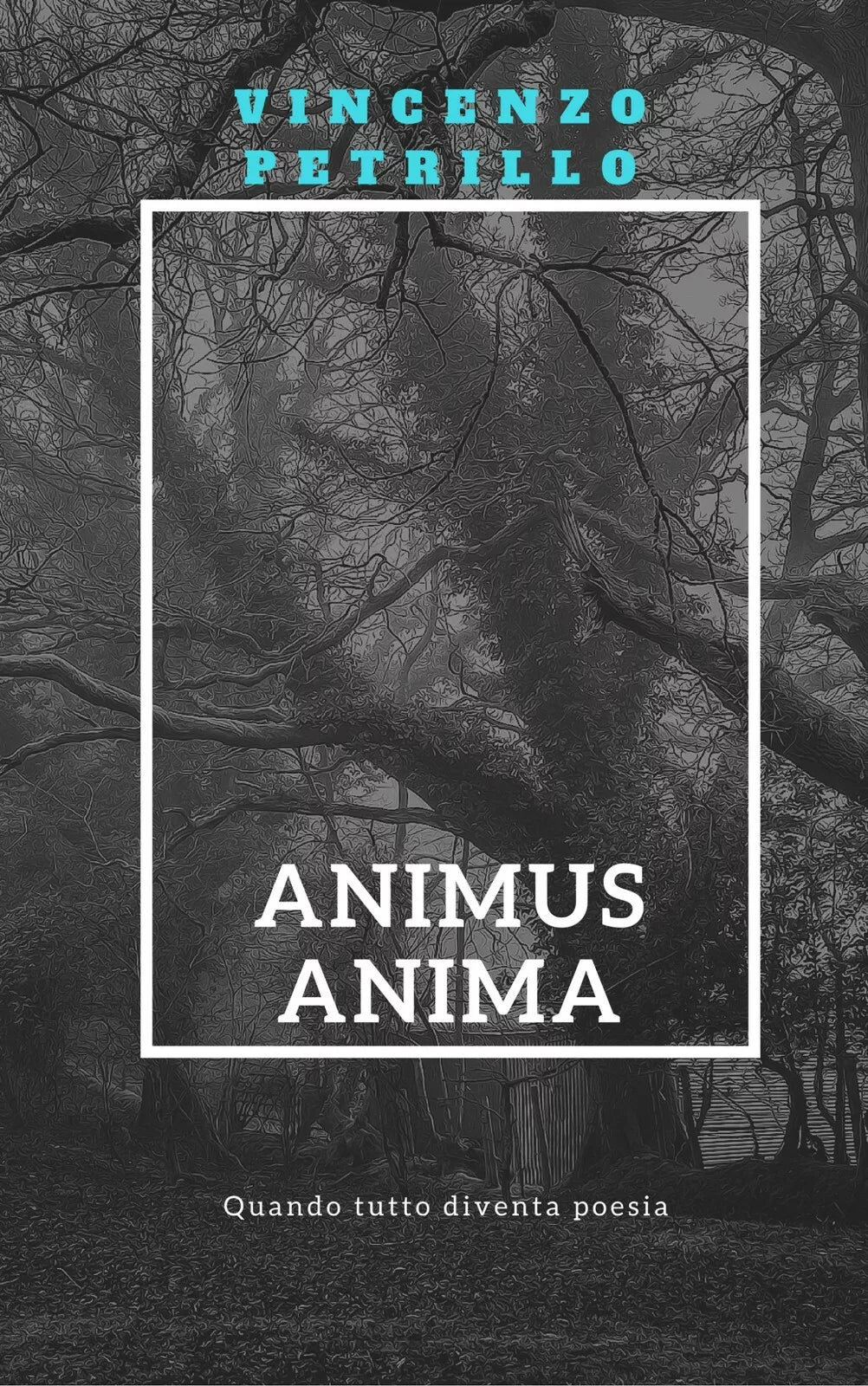 Animus anima. Quando tutto diventa poesia di Vincenzo Petrillo, 2017, Youcanpr
