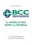 Il modello BCC dopo la Riforma di Aurelio Napolitano, 2020, Youcanprint