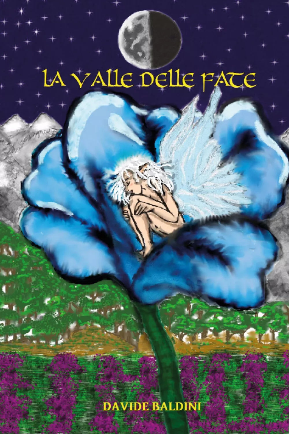 La valle delle fate di Davide Baldini, 2021, Youcanprint