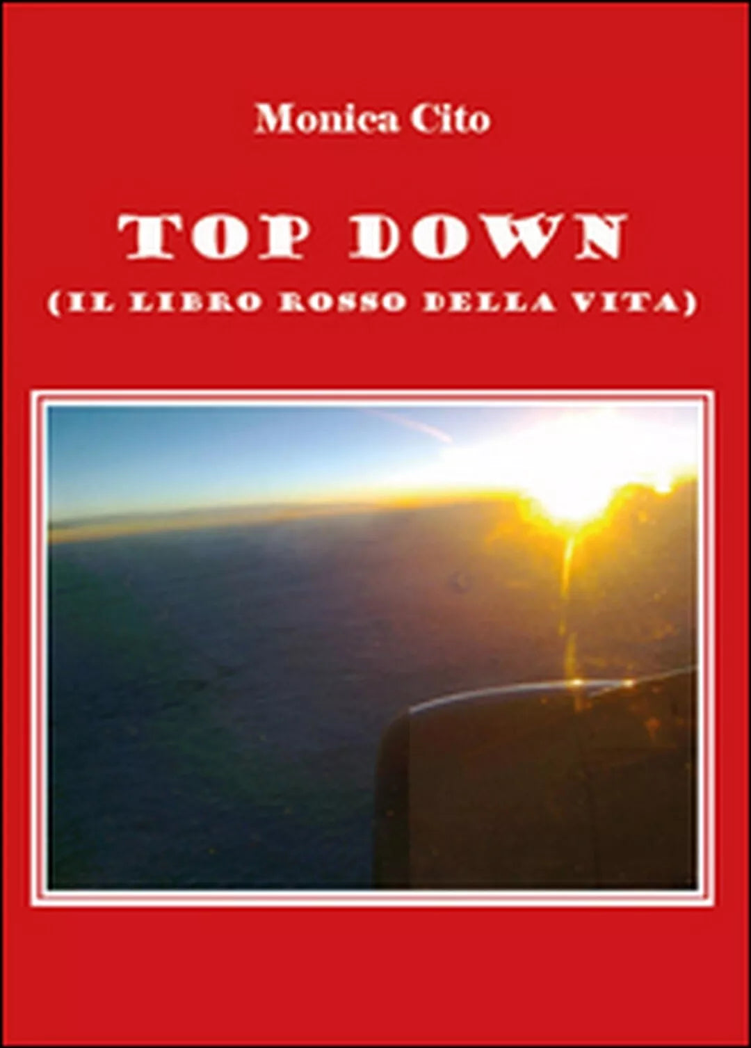 Top down il libro della vita di Monica Cito, 2014, Youcanprint