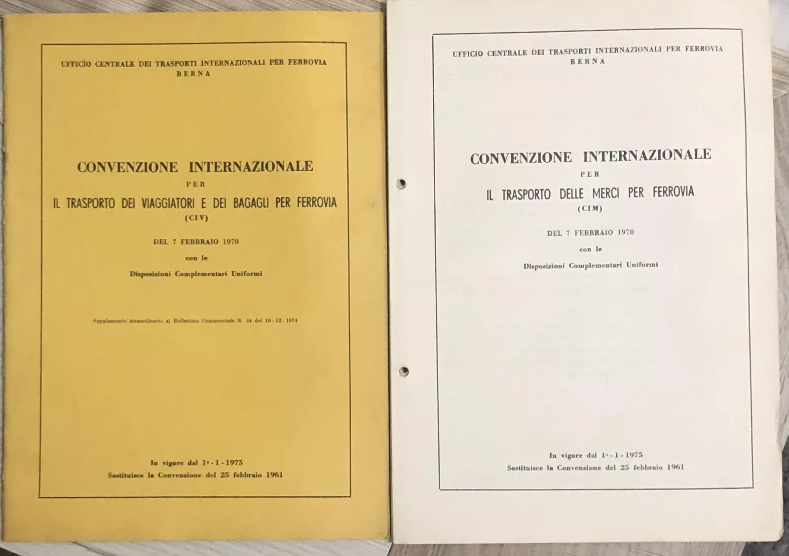 Convenzione Internazionale per il trasporto delle merci per ferrovia