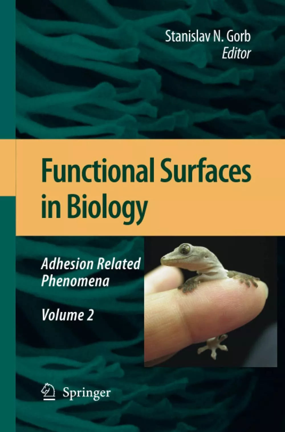 Functional Surfaces in Biology
