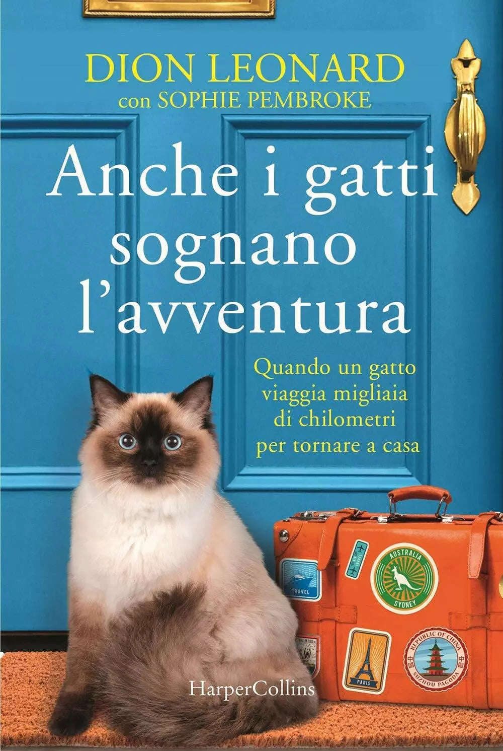 Anche i gatti sognano l avventura