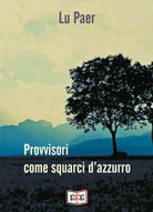 Provvisori come squarci d’azzurro di Lu Paer, 2020, Edizioni Tripla E