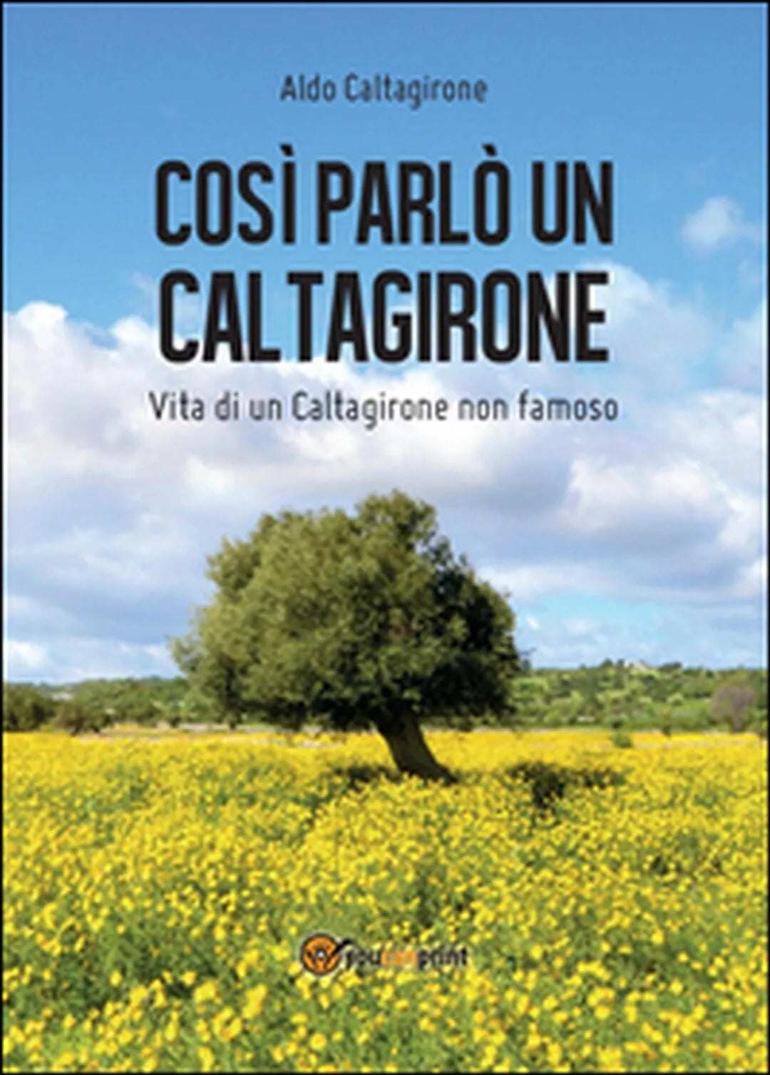 Cosi parlo un Caltagirone di Aldo Caltagirone, 2016, Youcanprint