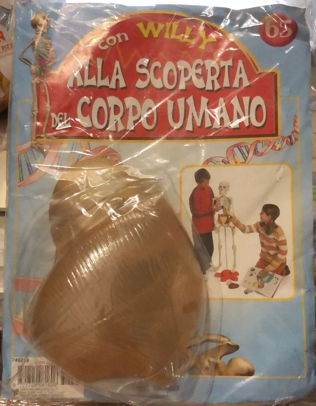 Alla scoperta del corpo umano con Willy n 65 Gluteo maggiore di Aa vv