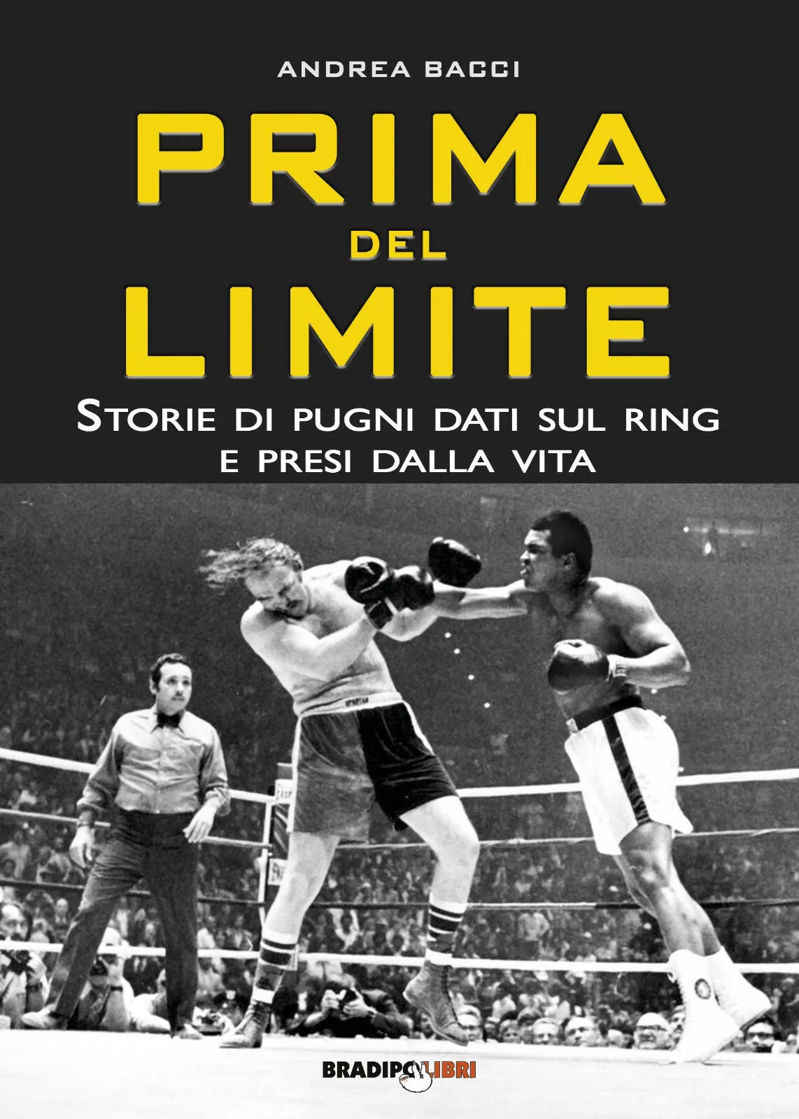 Prima del limite
