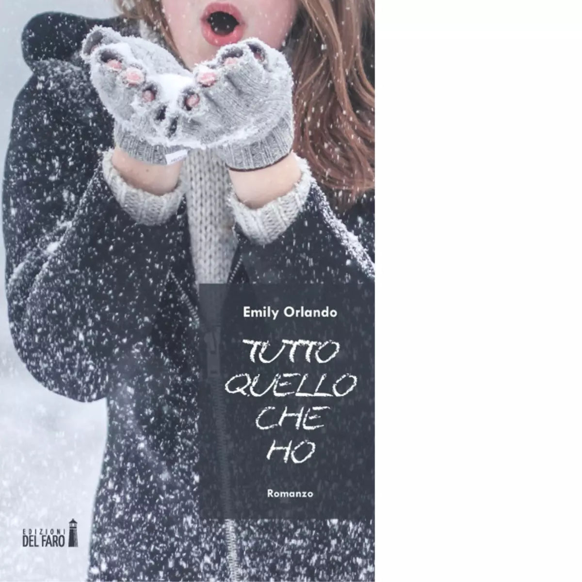 Tutto quello che ho di Emily Orlando