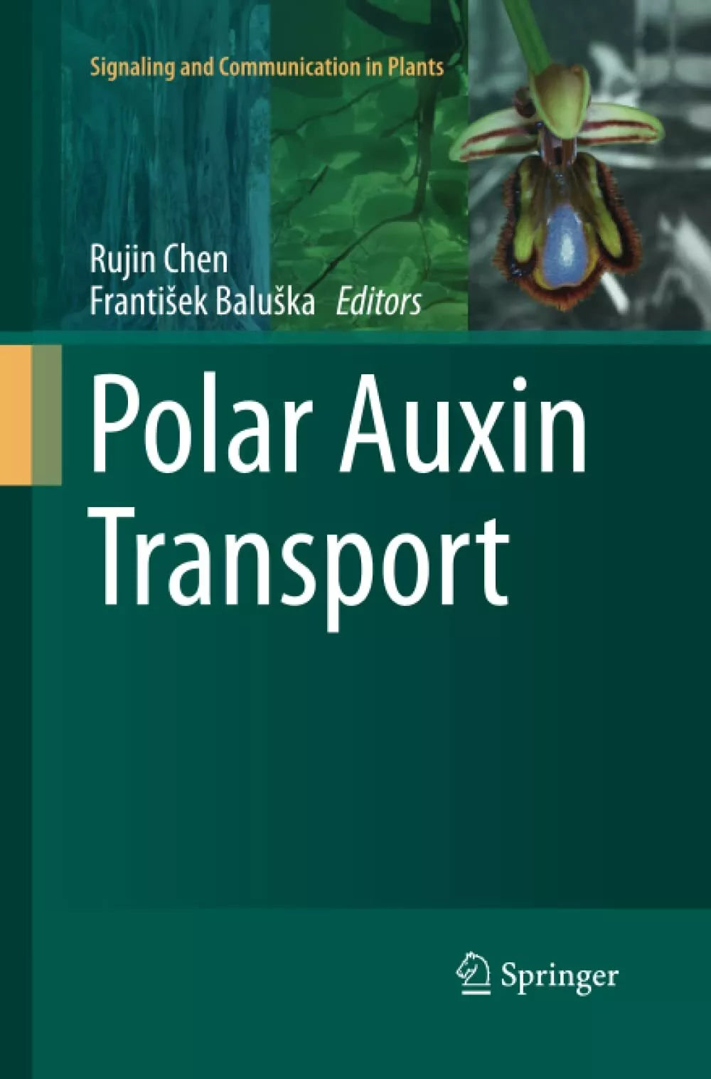 Polar Auxin Transport