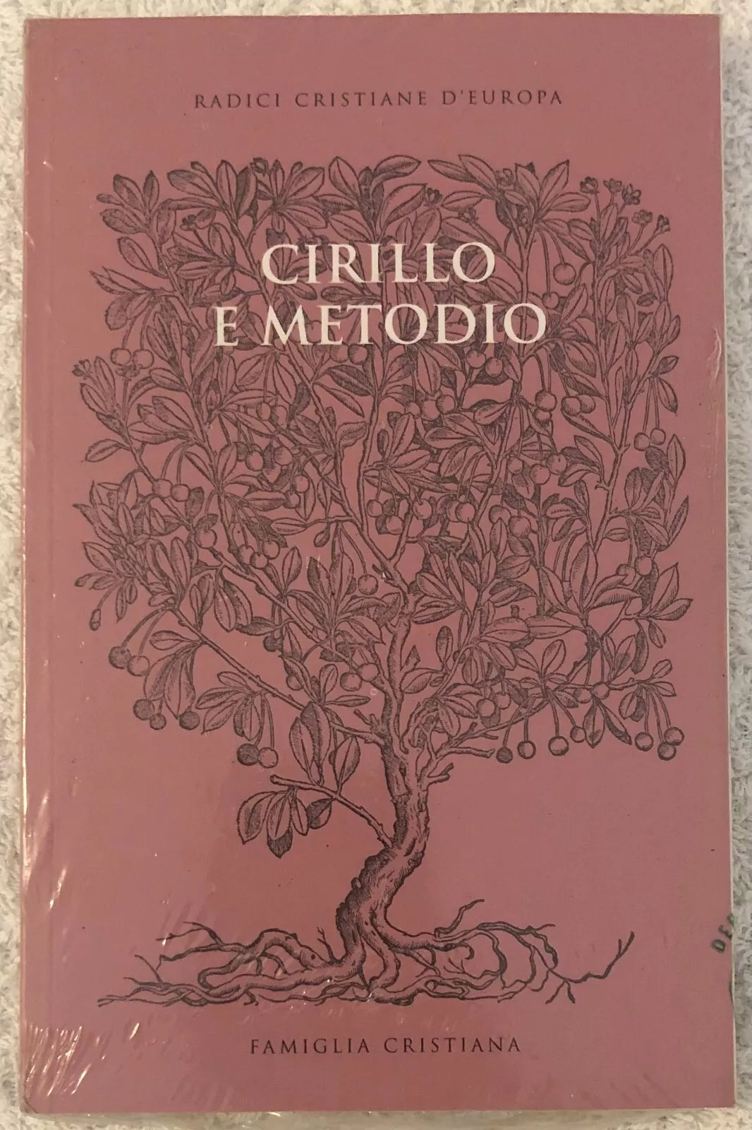 Radici cristiane d Europa n 4