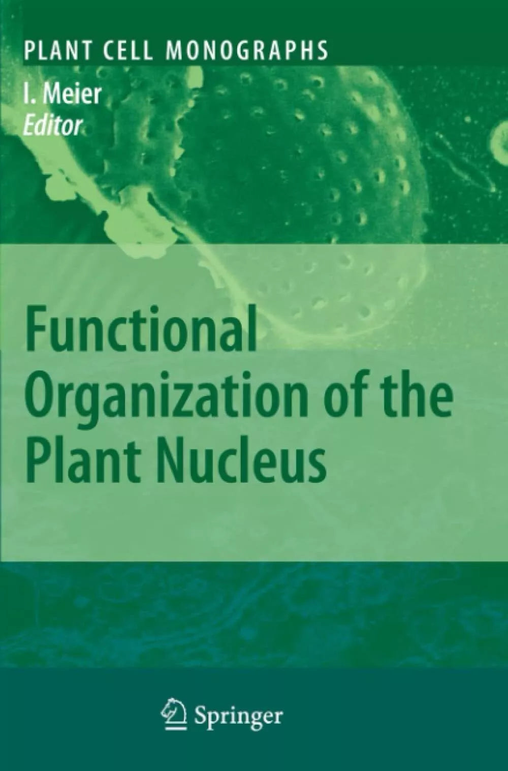 Functional Organization of the Plant Nucleus