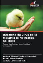 Infezione da virus della malattia di Newcastle nel pollo