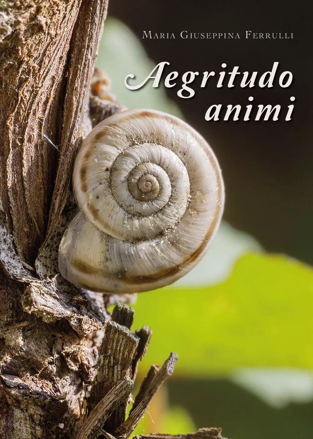 Aegritudo animi di Maria Giuseppina Ferrulli, 2019, Youcanprint