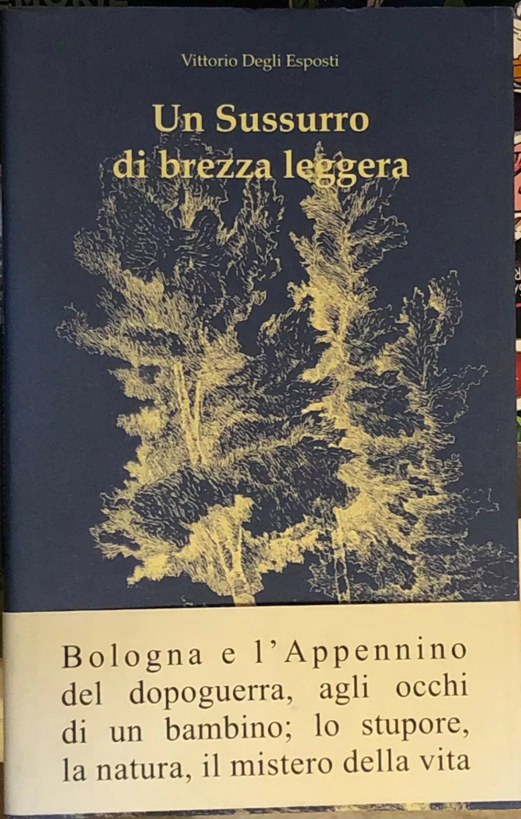 Un sussurro di brezza leggera di Vittorio Degli Esposti 2011 Editutto