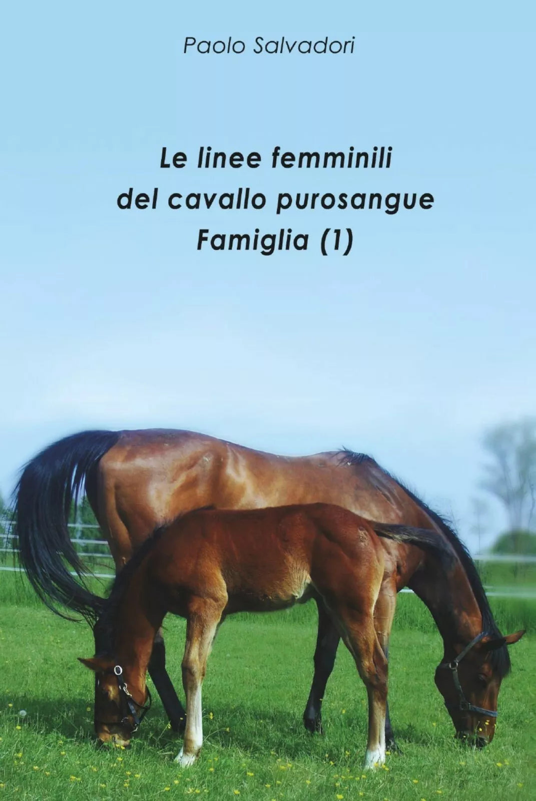 Le linee femminili del cavallo purosangue. Famiglia 1 di Paolo Salvadori, 201