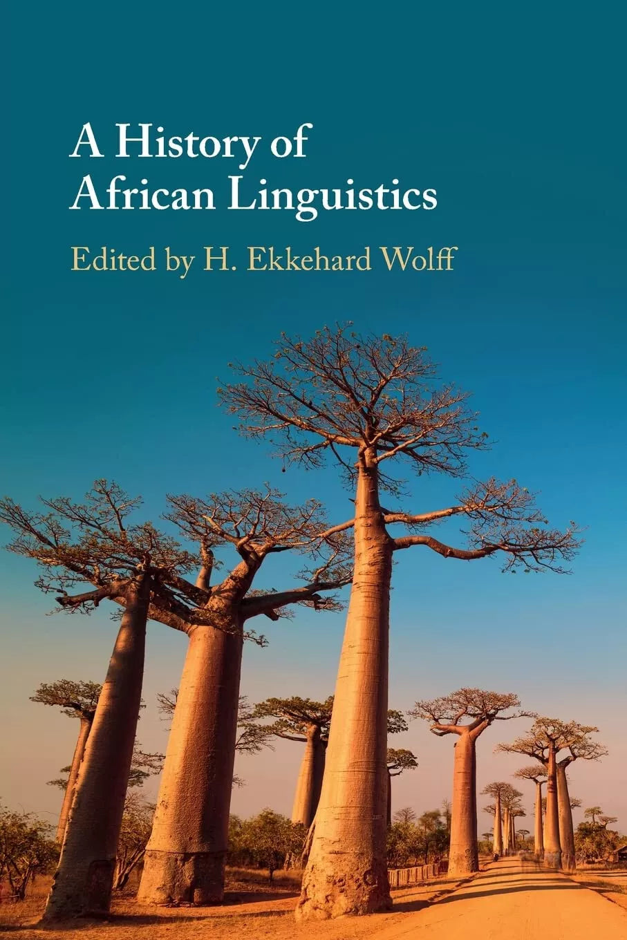A History Of African Linguistics