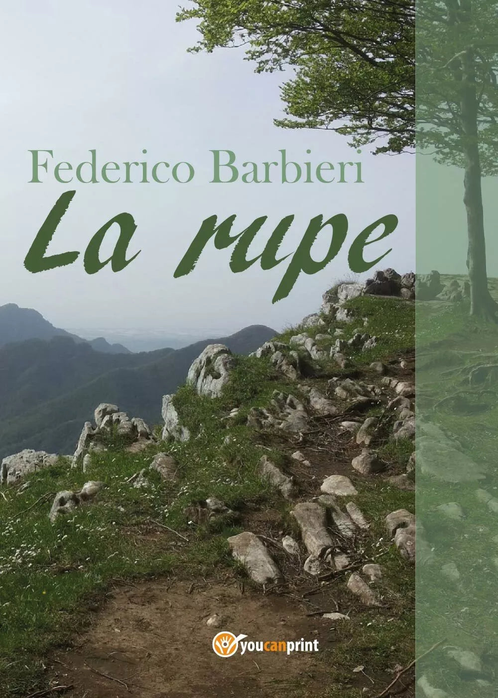 La rupe di Federico Barbieri, 2017, Youcanprint