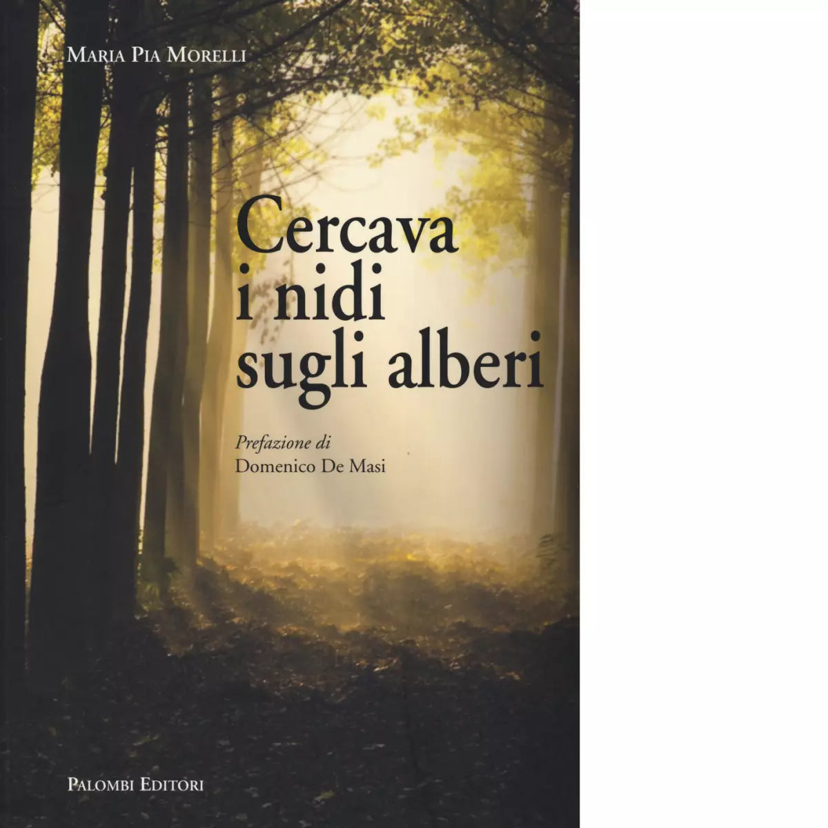 Cercava i nidi sugli alberi di Maria Pia Morelli