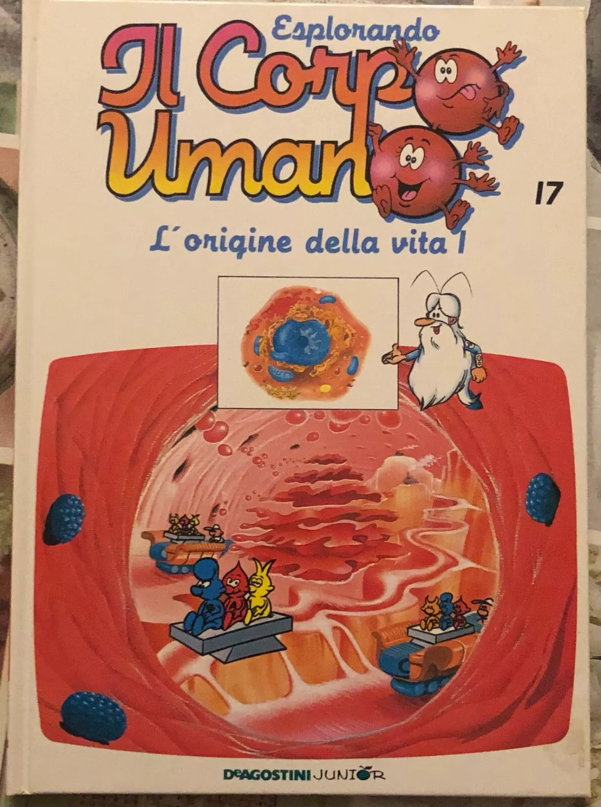 Esplorando il corpo umano n 17