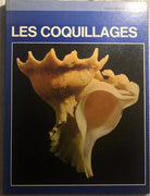 Les coquillages di Sergio Angeletti, 1972, Grange Bateliere
