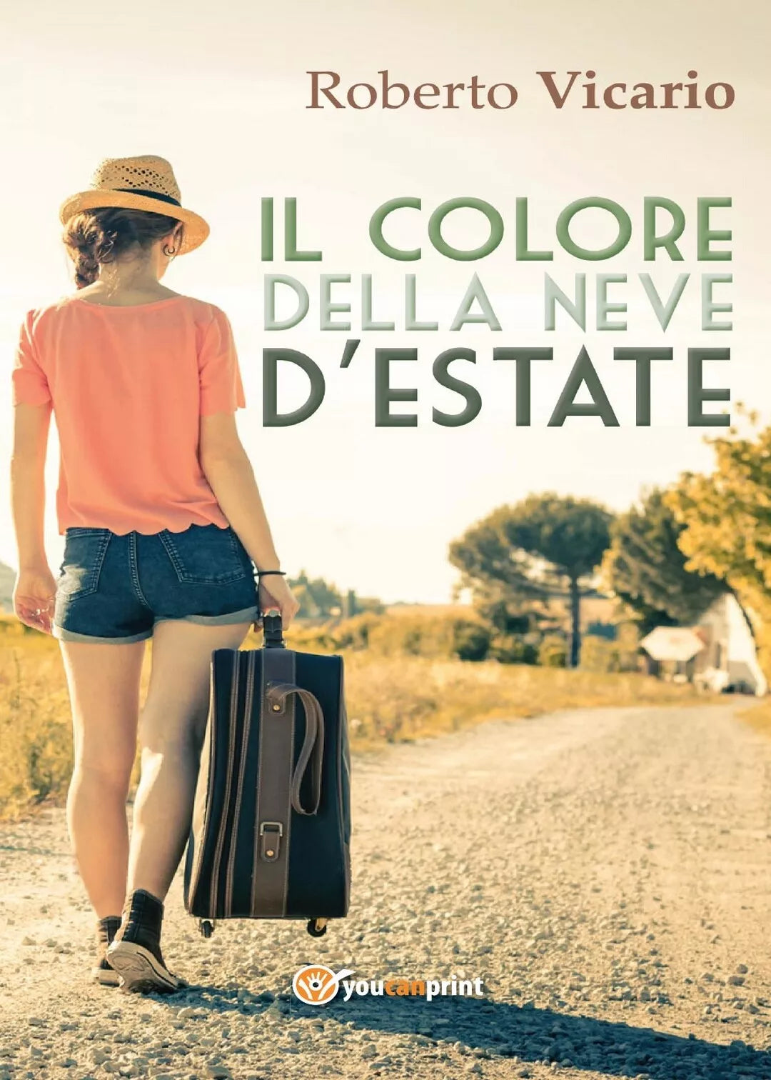 Il colore della neve d’estate di Roberto Vicario, 2016, Youcanprint