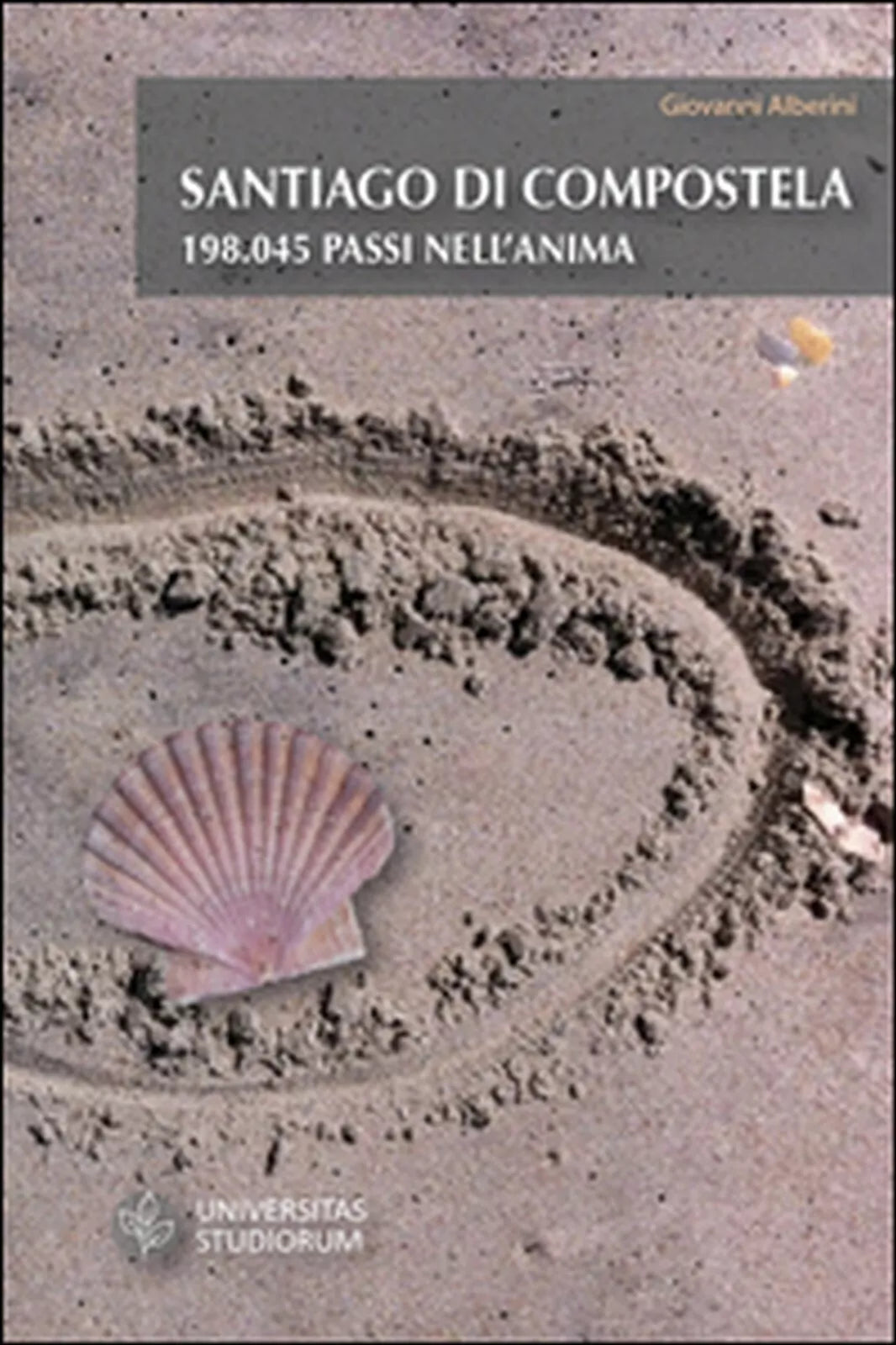 Santiago di Compostela. 198.045 passi nell’anima, Giovanni Alberini, 2015