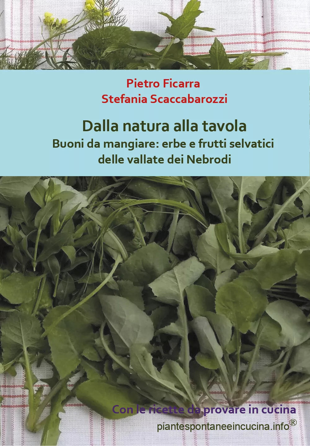 Dalla natura alla tavola. Buoni da mangiare: erbe e frutti selvatici