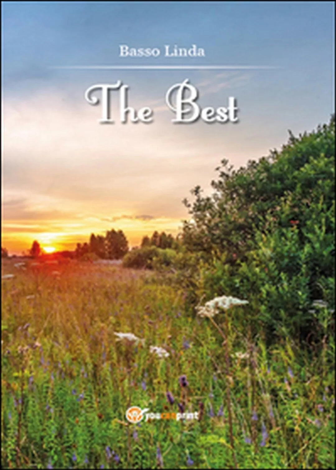 The best. Passato presente viaggio nella storia, Linda Basso, 2015, Youcanpr.