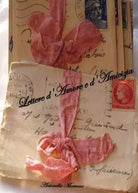 Lettere d Amore e d Amicizia di Antonella Morrone