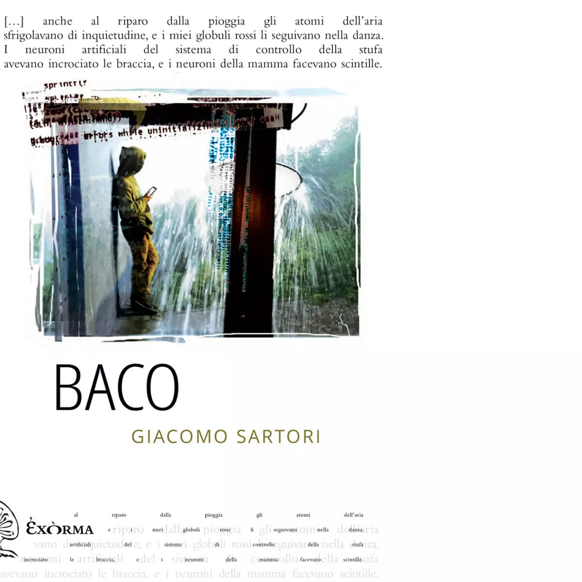 Baco di Sartori Giacomo