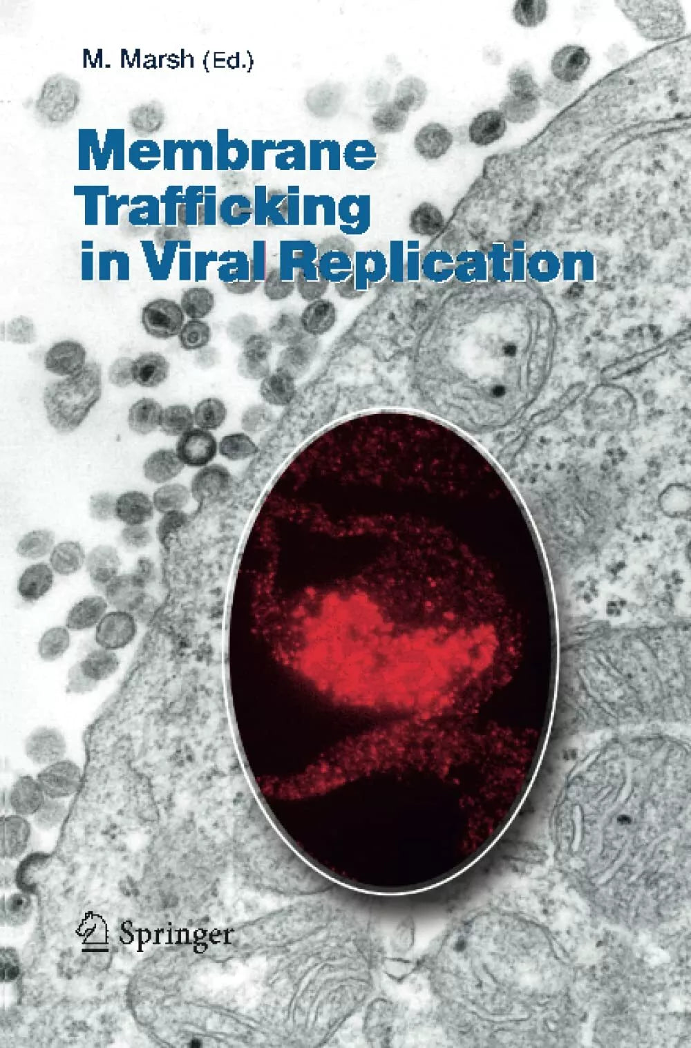 Membrane Trafficking in Viral Replication