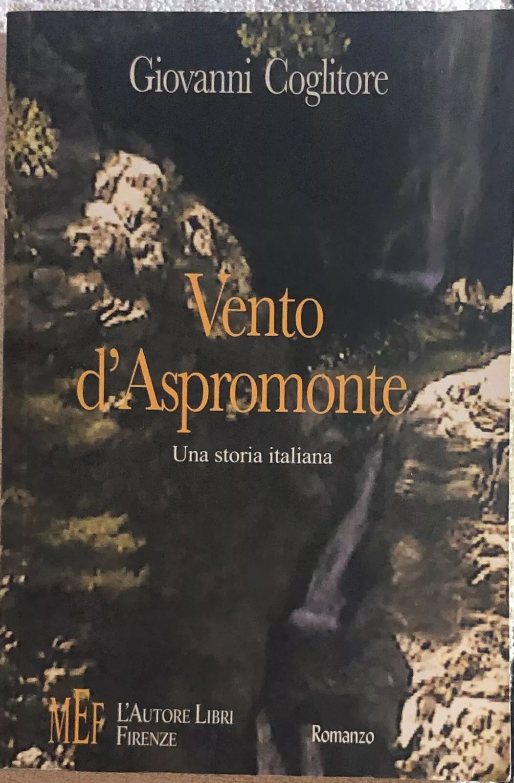 Vento d’Aspromonte di Giovanni Coglitore, 2006, Mef